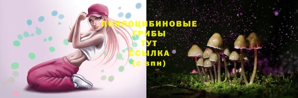 прущий лед Михайлов