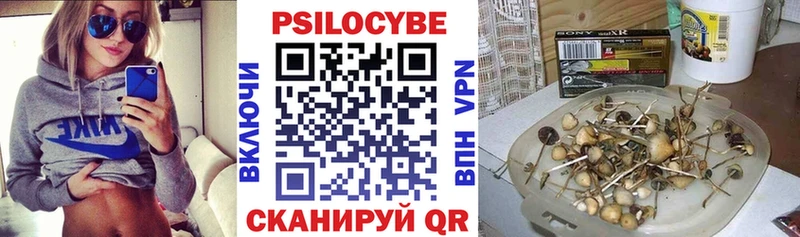 даркнет клад  Черняховск  Псилоцибиновые грибы ЛСД 